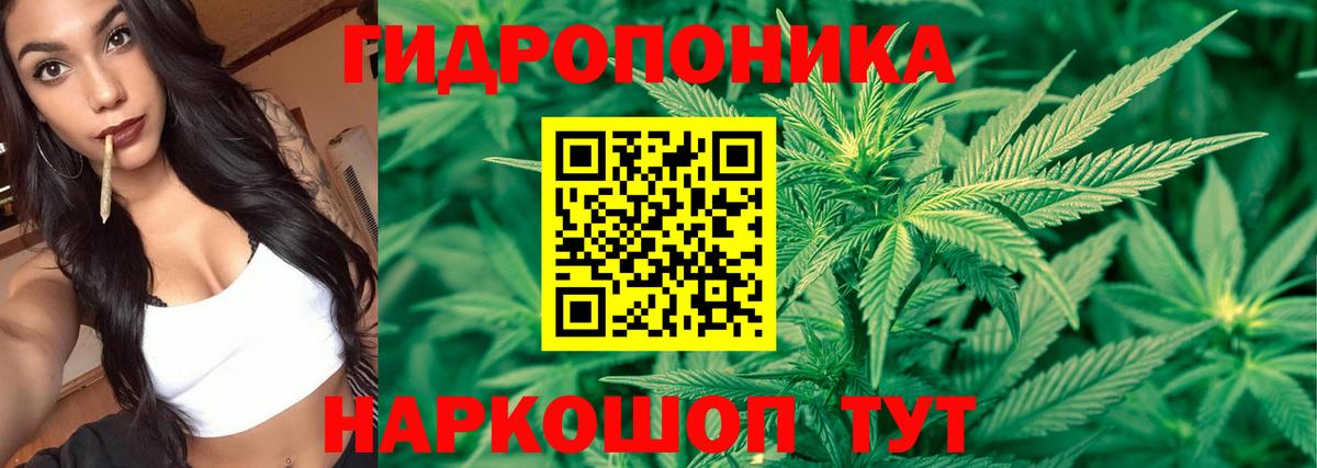 Аксай  Шишки марихуана сатива  Марихуана ГИДРОПОН  Бошки Шишки семена  Шишки марихуана VHQ  Вход с VPN 